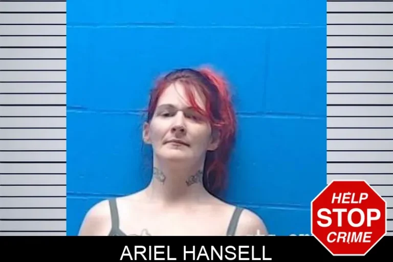 Ariel Hansell