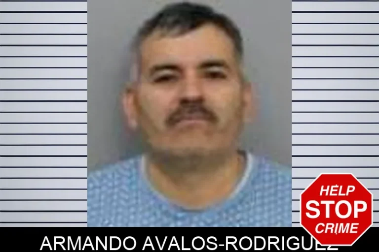 Armando Avalos-Rodriguez