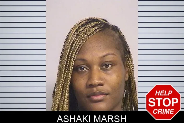 Ashaki Marsh