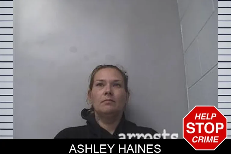 Ashley Haines