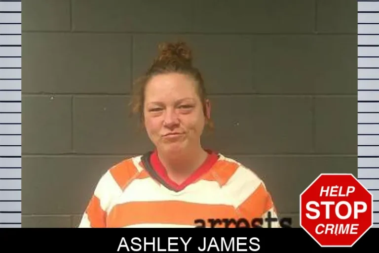 Ashley James