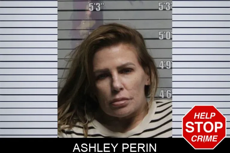 Ashley Perin