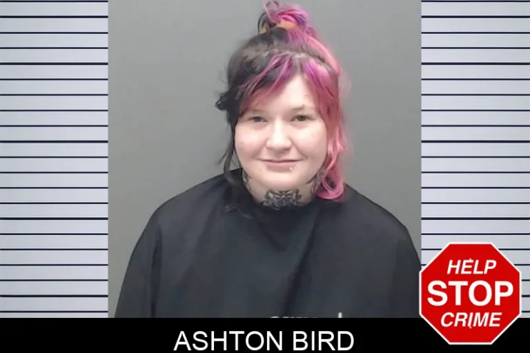 Ashton Bird