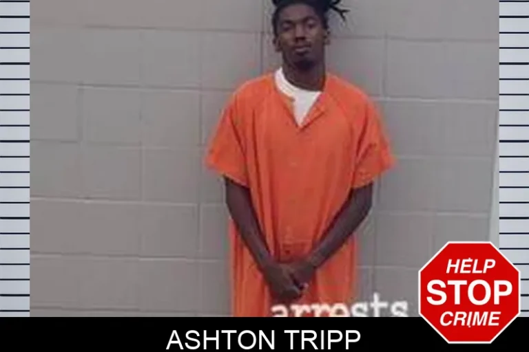 Ashton Tripp