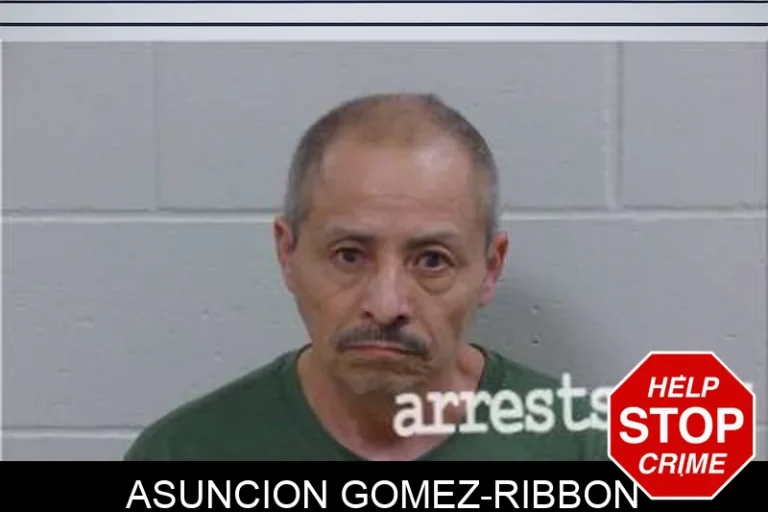 Asuncion Gomez-Ribbon