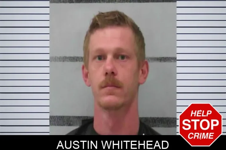 AuStin Whitehead