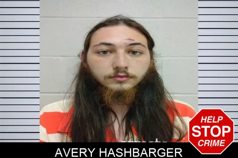 Avery Hashbarger