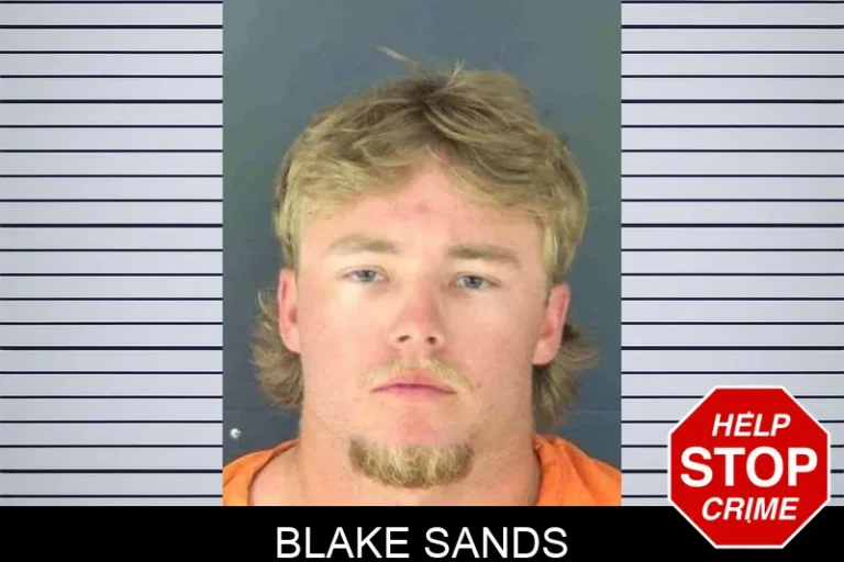 Blake Sands