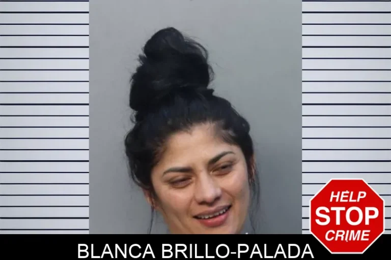 Blanca Brillo-Palada