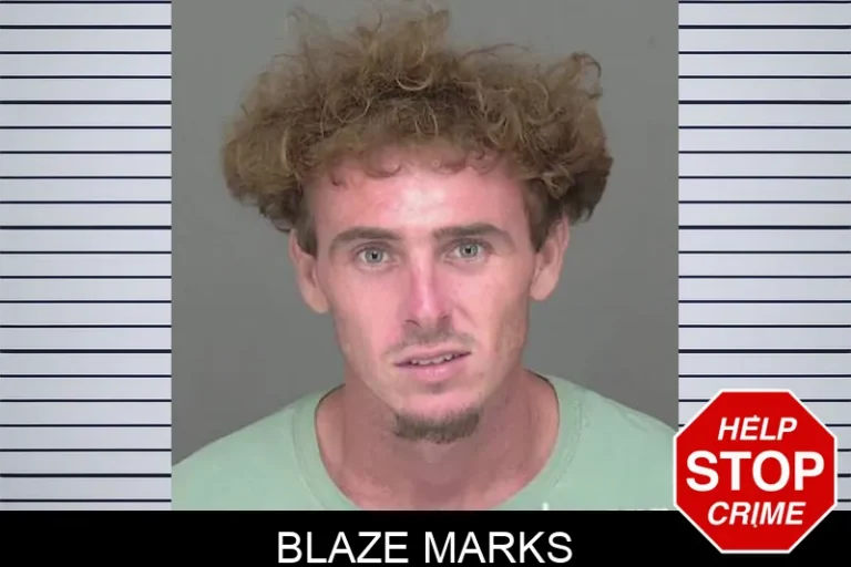 Blaze Marks