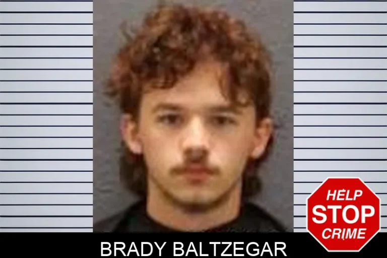 Brady Baltzegar
