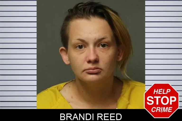 Brandi Reed
