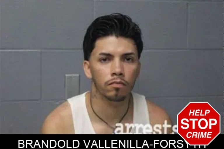 Brandold Vallenilla-Forsyth