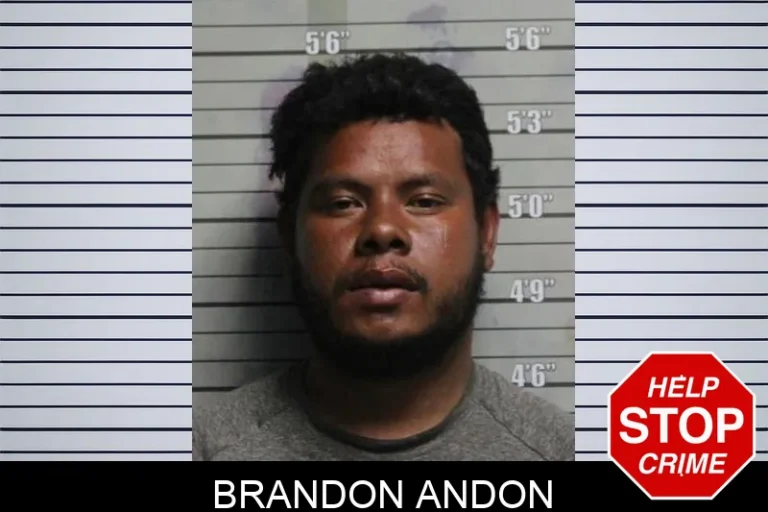Brandon Andon