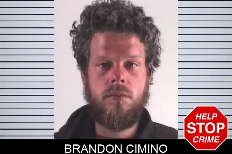 Brandon Cimino