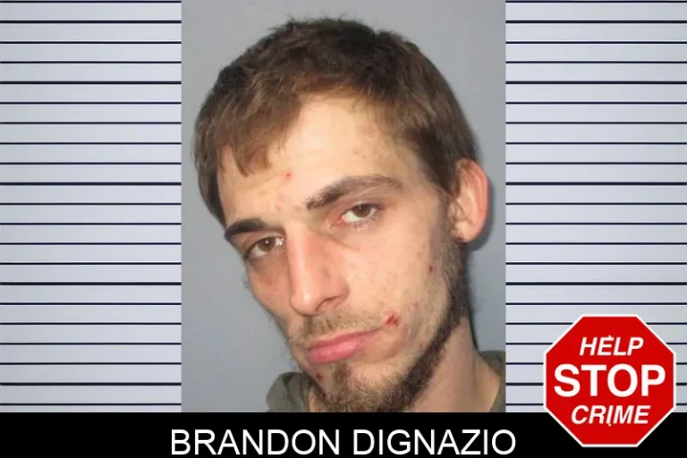 Brandon Dignazio