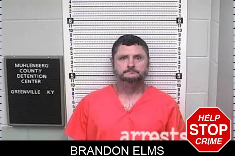 Brandon Elms