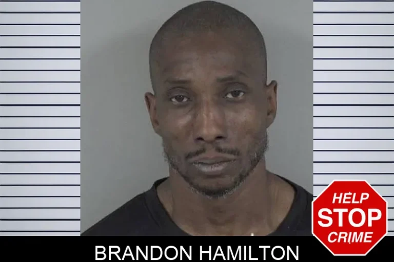 Brandon Hamilton