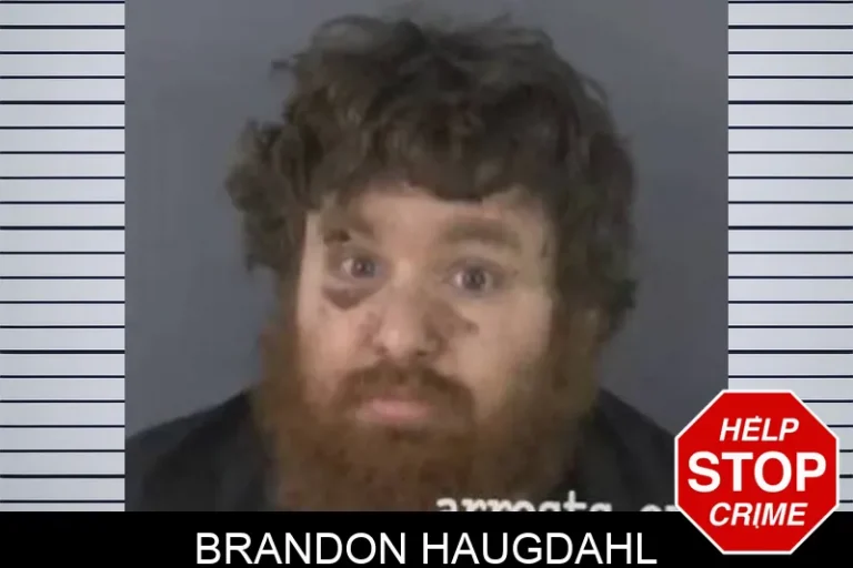 Brandon Haugdahl