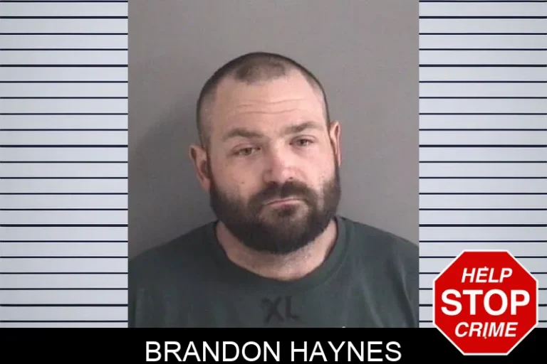Brandon Haynes