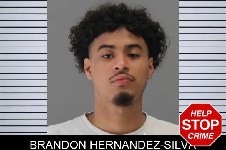 Brandon Hernandez-Silva