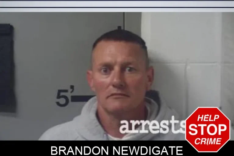 Brandon Newdigate