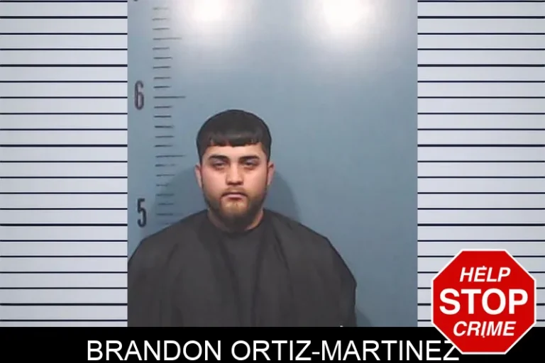 Brandon Ortiz-Martinez