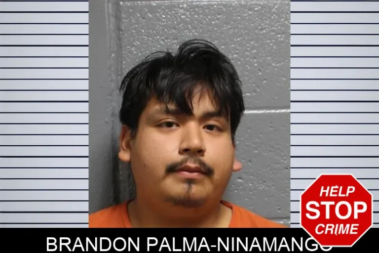 Brandon Palma-Ninamango