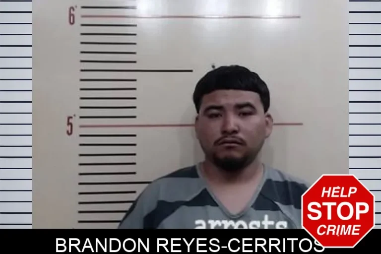 Brandon Reyes-Cerritos