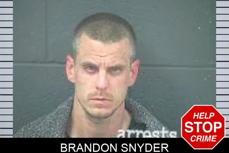 Brandon Snyder