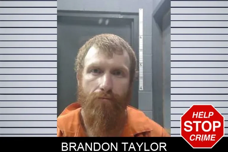 Brandon Taylor