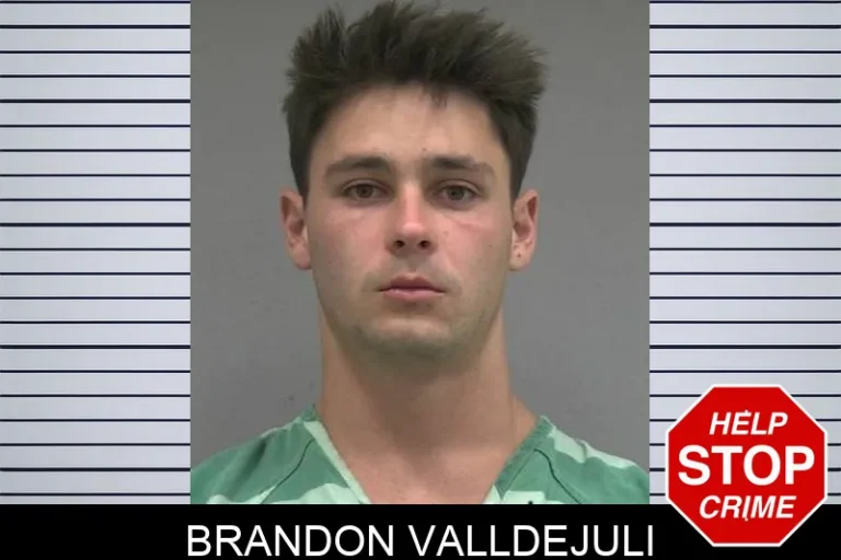 Brandon ValldejuLi