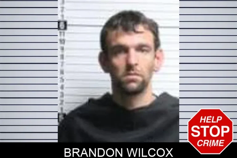 Brandon Wilcox