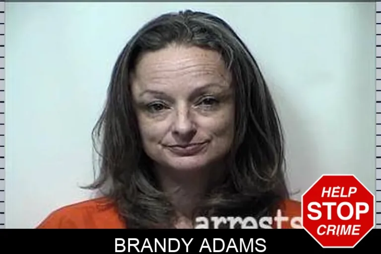 Brandy Adams