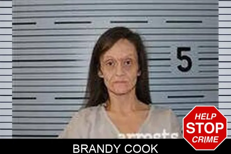 Brandy Cook