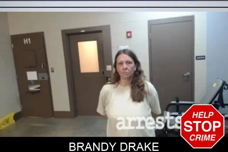 Brandy Drake