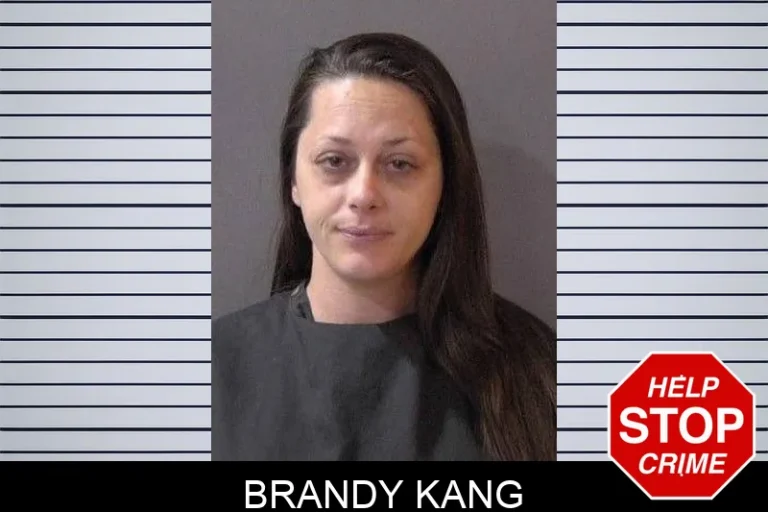 Brandy Kang