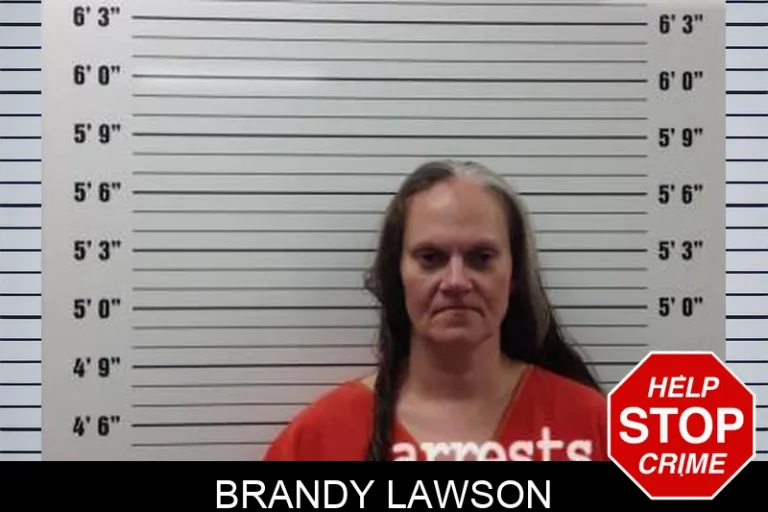 Brandy Lawson