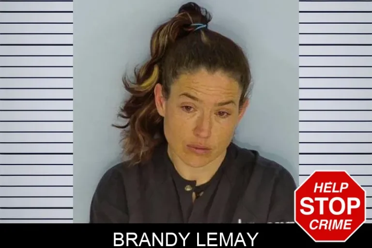 Brandy Lemay