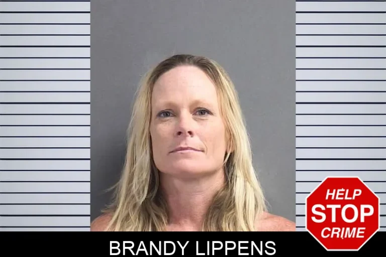 Brandy Lippens