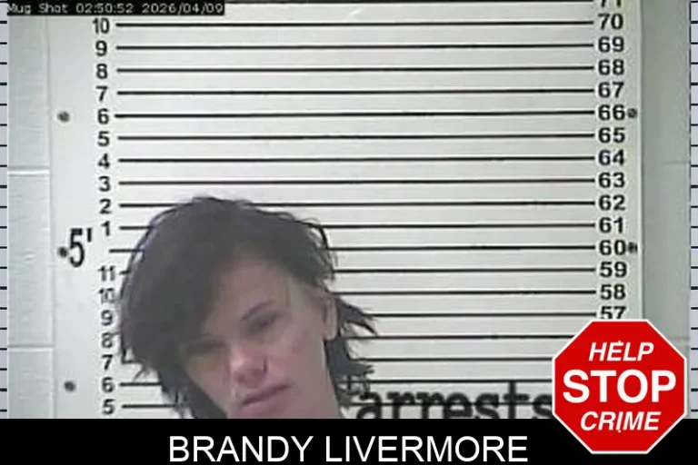 Brandy Livermore