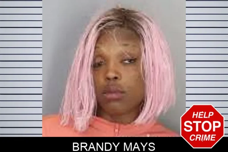 Brandy Mays