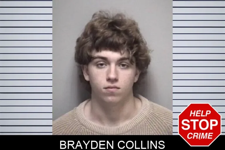 Brayden Collins