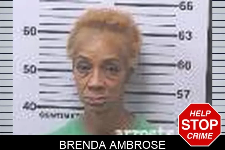 Brenda Ambrose