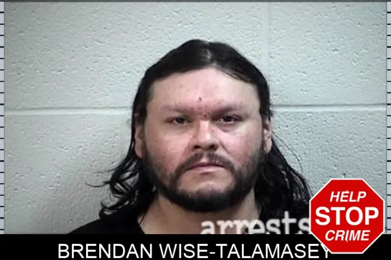 Brendan Wise-Talamasey