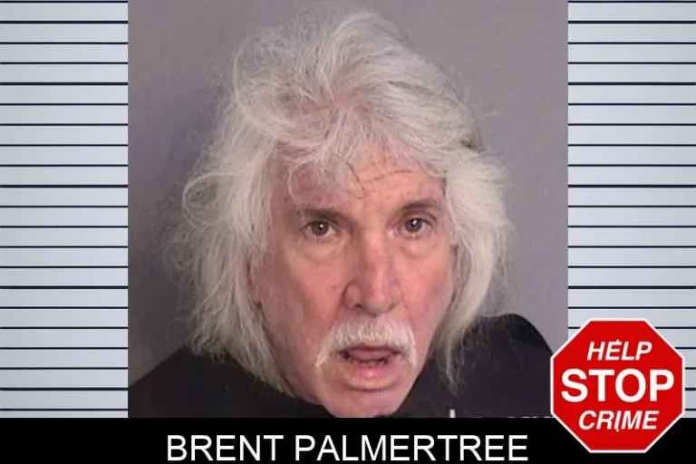 Brent Palmertree