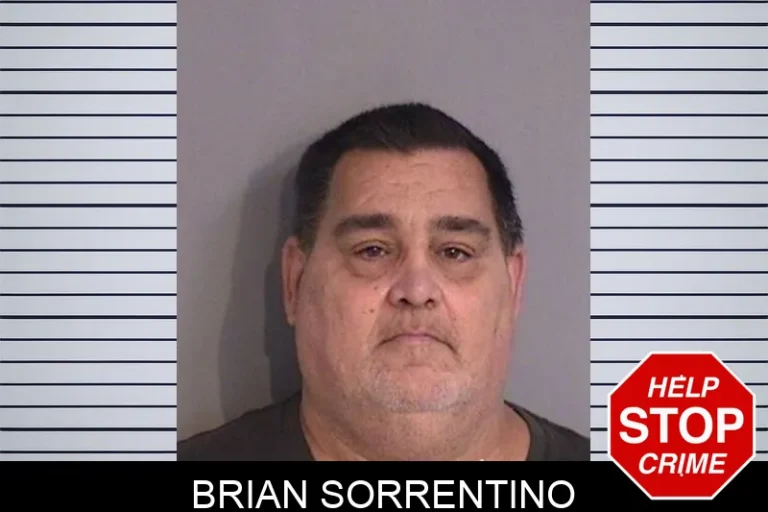 Brian Sorrentino