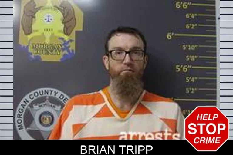 Brian Tripp
