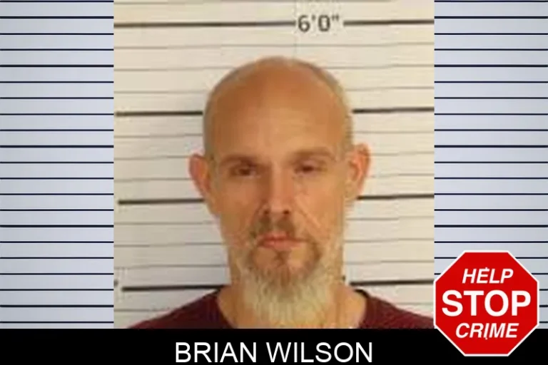 Brian Wilson