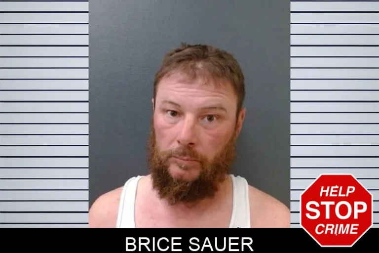 Brice Sauer